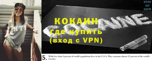 крисы Пестово
