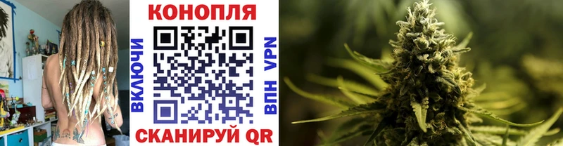 Купить закладки  Шацк  МАРИХУАНА SATIVA & INDICA 